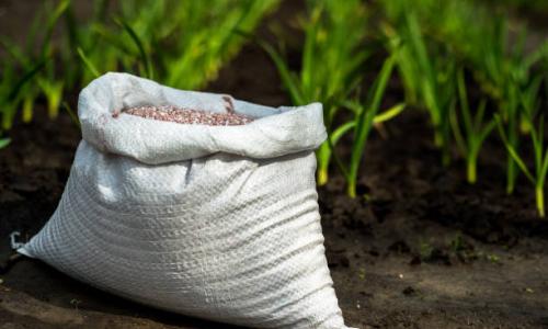 Fertilizer Organic